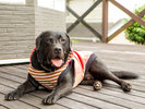 テラスでゆったり