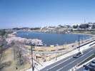 千波湖外周と桜並木(当宿から約13km)