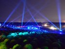 コキアライトアップ【夏】(国営ひたち海浜公園提供)