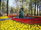 国営ひたち海浜公園「たまごの森フラワーガーデン」チューリップ。ホテルから車で約20分