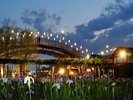 【水郷潮来あやめまつり】期間中、ライトアップ開催予定(毎日18:30から22:00)ホテルより車で約70分。