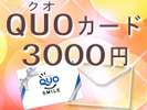 QUO3000~
