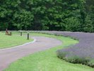 3万5000坪の広大な敷地。その大部分を占めるのが四季彩豊かな森です。