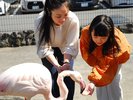 ふれあい動物王国イメージ