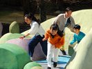 元気の森イメージ