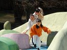 元気の森イメージ