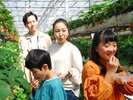 阿蘇健康農園のいちご狩りイメージ