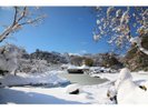 雪の玄宮園・彦根城。