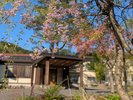 山笑う新緑の生命力と、櫻のつぼみが運ぶ微かな春の気配を感じる、上質な空間をお過ごしください