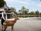 鹿さんと一緒にお客様をお出迎え☆