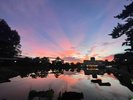 玄関を出るとこの景色。猿沢池の夕暮れ