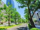 周辺情報|季節を感じる御堂筋<夏>