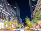 周辺情報|季節を感じる御堂筋<冬>