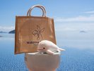 【マリッサリゾート】リゾートショップ|数々のマリッサオリジナル商品も。