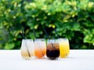 �yAqua Garden Cafe�z�o���G�e�B�L���ȃh�����N
