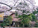 外観(4月上旬)
