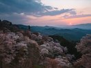 【吉野山(桜)】ホテルから車で1時間45分