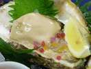 【岩牡蠣】夏1番人気の追加料理♪海のチーズと謳われるクリーミー濃厚で深い味わいの一品を是非♪