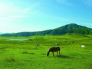 【草千里】火山を一望できる広大な草原地。大パノラマを楽しめる展望場もぜひ(写真提供:熊本県観光連盟)