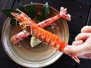 【車えび】馬刺しだけではありません。熊本(天草)名物「車えび」料理!(写真提供:熊本県観光連盟)