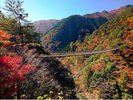 【梅の木轟公園吊橋】八代市の紅葉名所。吊り橋からの絶景をぜひ。写真提供:熊本県観光連盟