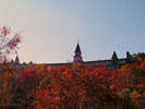 autumn