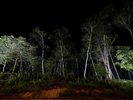・【風景】ARCADIAの夜は壮大に輝く星を堪能できます