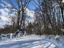 雪景色の敷地内