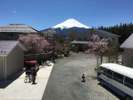 民宿旅館富士見園から望む富士山