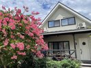 夏の花とコテージです。
