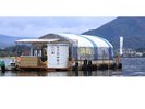 河口湖ではワカサギ釣りが出来ます