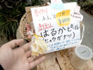 *若女将特製 はるかピール☆季節によって異なりますが、日向夏のピールを販売!