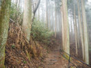 *御岳山/3月は朝晩少し冷えます。朝から山を散策するとより空気が美味しいです。