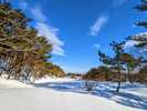 冬季は施設内にはふっかふっかの雪がたくさん♪たくさんのマイナスイオンで心身リフレッシュしましょ。