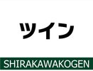 ツイン