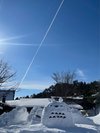 2022年はトトロがお出迎え