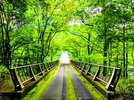 夏の風景
