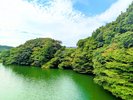 夏のちふり湖