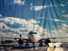 AIRDO�R���{���[��