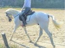 クラークホースガーデン