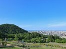 旭山公園