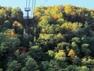 大雪山層雲峡・黒岳ロープウェイ