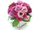 �t�����[�A�����W�C���[�W�i�L���I�v�V�����E�\��2���O���j