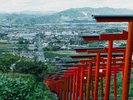 浮羽稲荷神社(ホテルから車で10分):91連の鳥居、高台にある本殿から眺める筑紫平野は絶景です