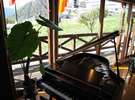 心地よい空間のレストランホールとウォールナットのピアノ