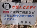 横川峡の奥、国天然記念物の蛇石には、熊が住んでいます。自然との共生にご協力ください。