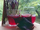 夏の朝食には、自家製の赤紫蘇ジュースを提供しております。