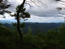 近江山。かやぶきの館裏手に登山道があります。