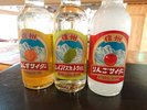 【売店オススメ商品】信州サイダー。りんご、シャインマスカット、あんずの3種類がございます。