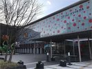 光を受けて輝く水玉の世界。見る角度によって表情が変わり、まるで別世界に迷い込んだかのようです。